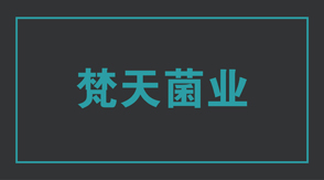 食品行业临沧冲锋衣设计款式